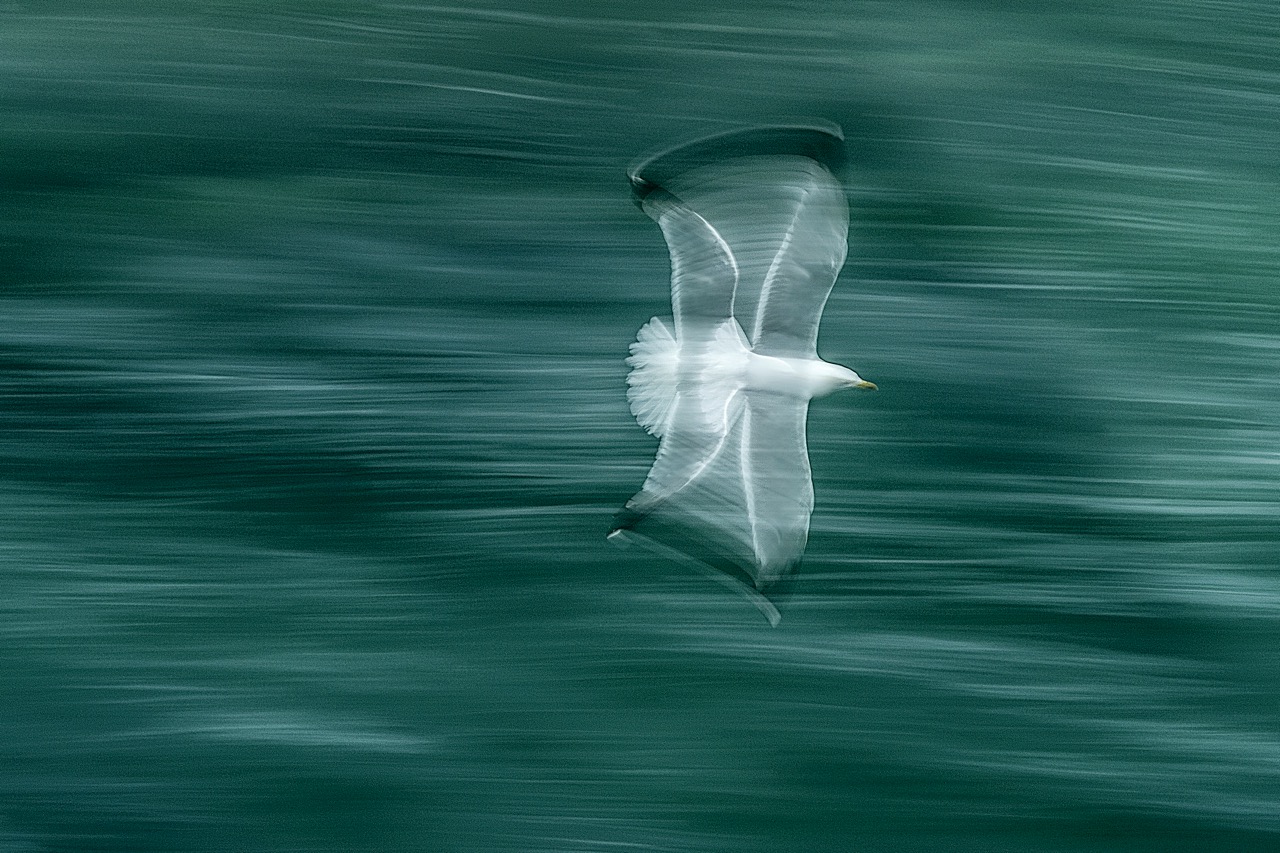 CROSSING THE ATLANTIC