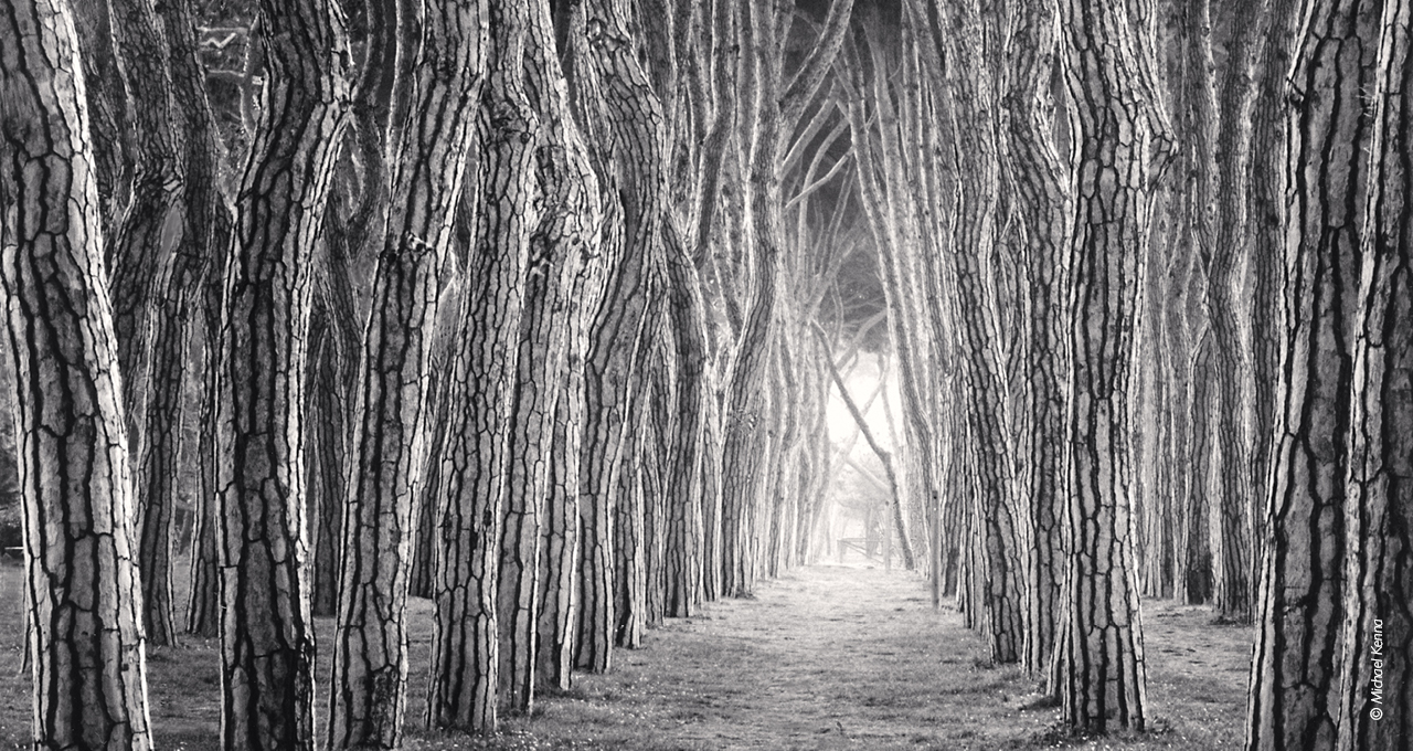 2700 brahms and new paths booklet.pdf