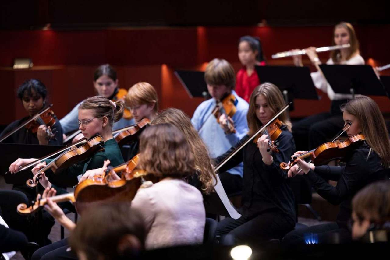 Lilla Akademien Chamber Orchestra portrait image