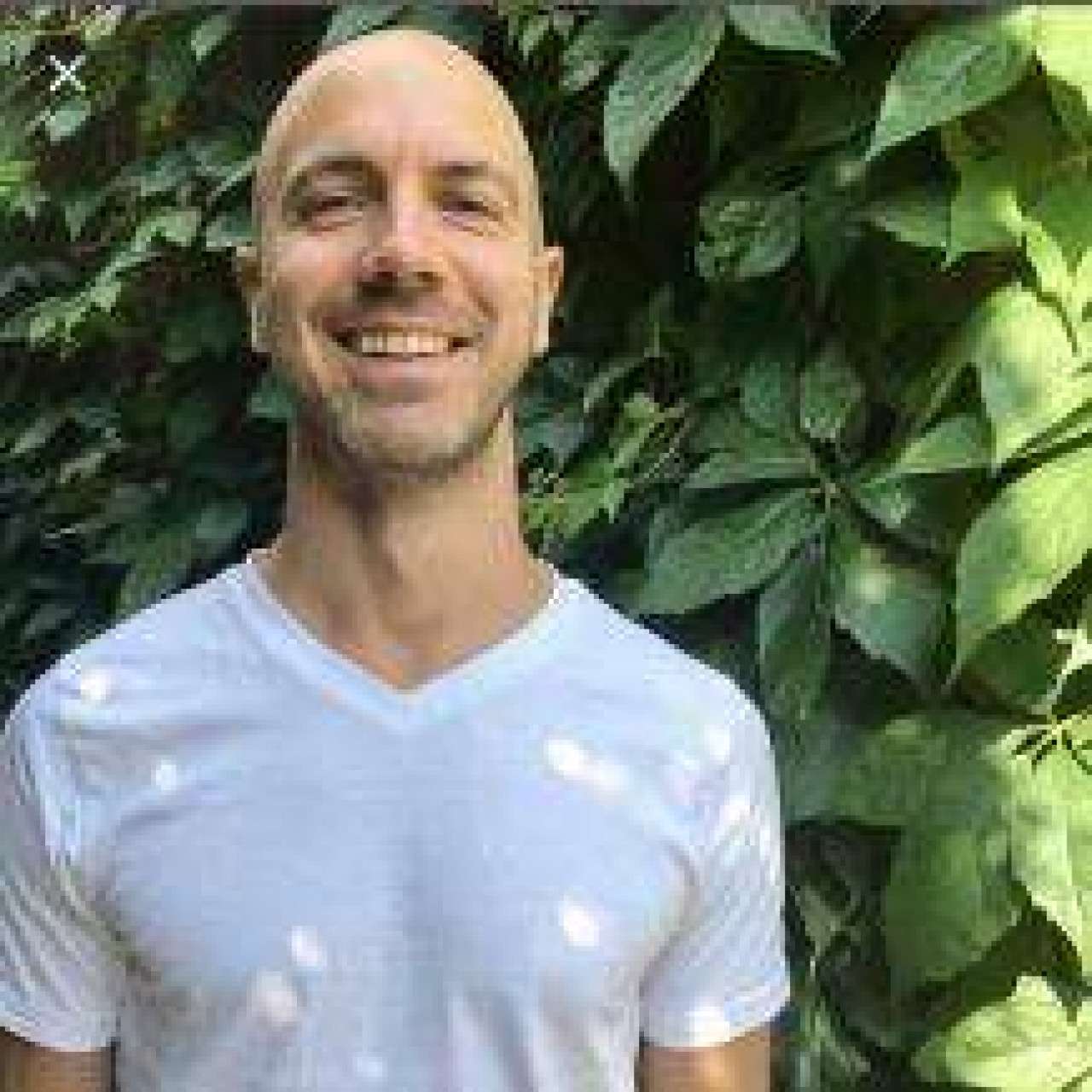 Simon Tandree portrait image
