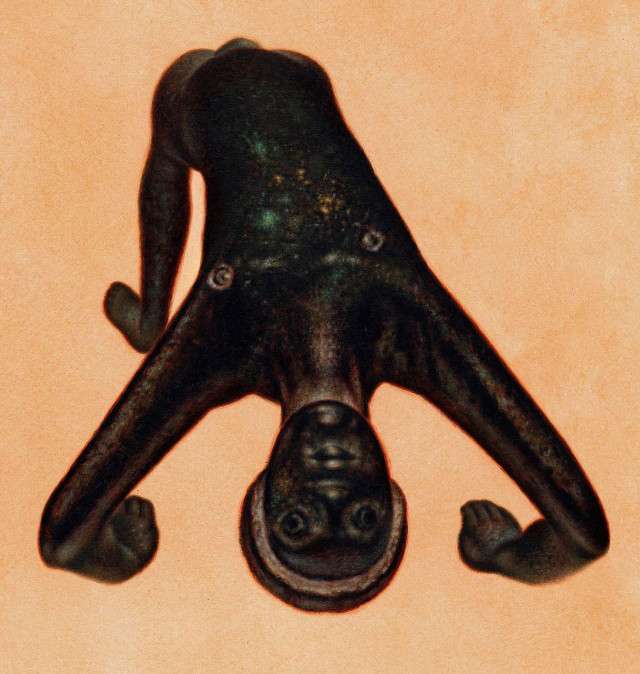 An Etruscan Acrobat portrait image